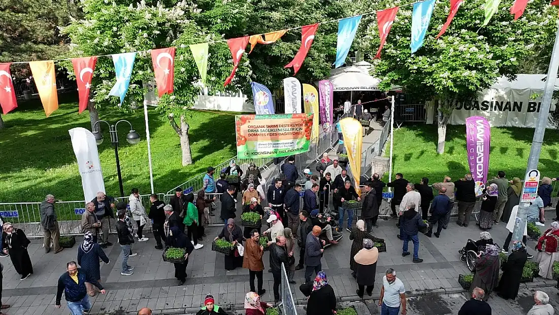 Kocasinan’dan müjde: Ücretsiz domates fidesi dağıtım tarihi netleşti