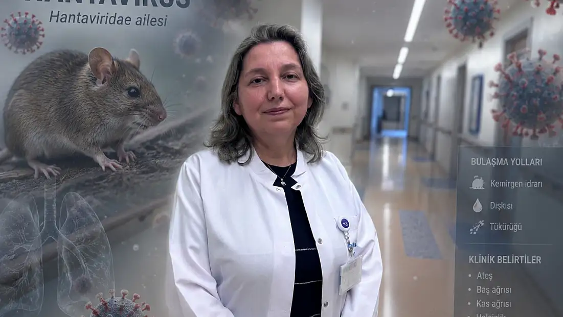 Prof. Dr. Yasemin Ersoy’dan hantavirüs uyarısı!