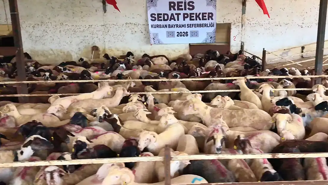 Sedat Peker'den Kayseri'ye kurban yardımı