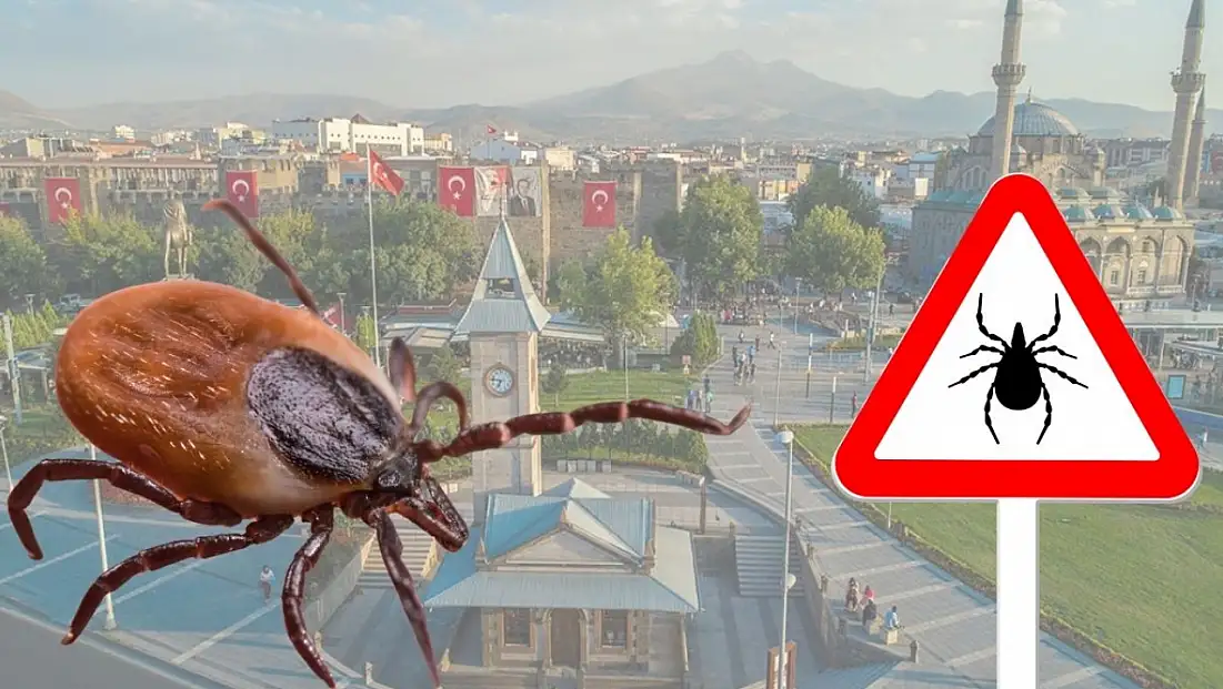 Şimdiden 5 can aldı: İşte keneyi çoğaltan faktörler...