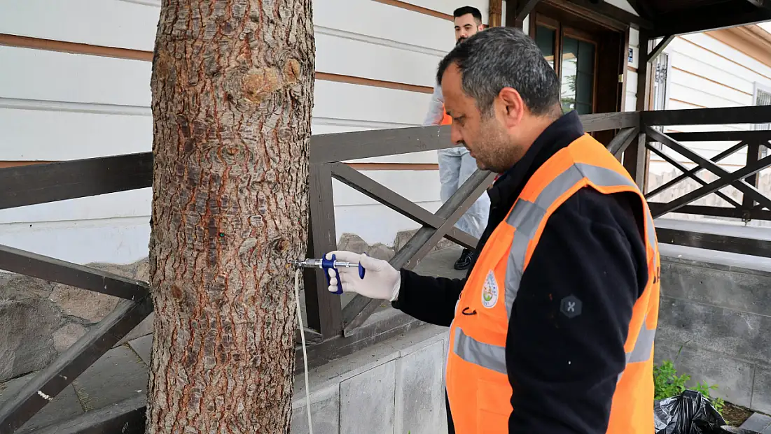 Talas Belediyesi’nde yeni ilaçlama yöntemi: Enjeksiyonla yapılıyor