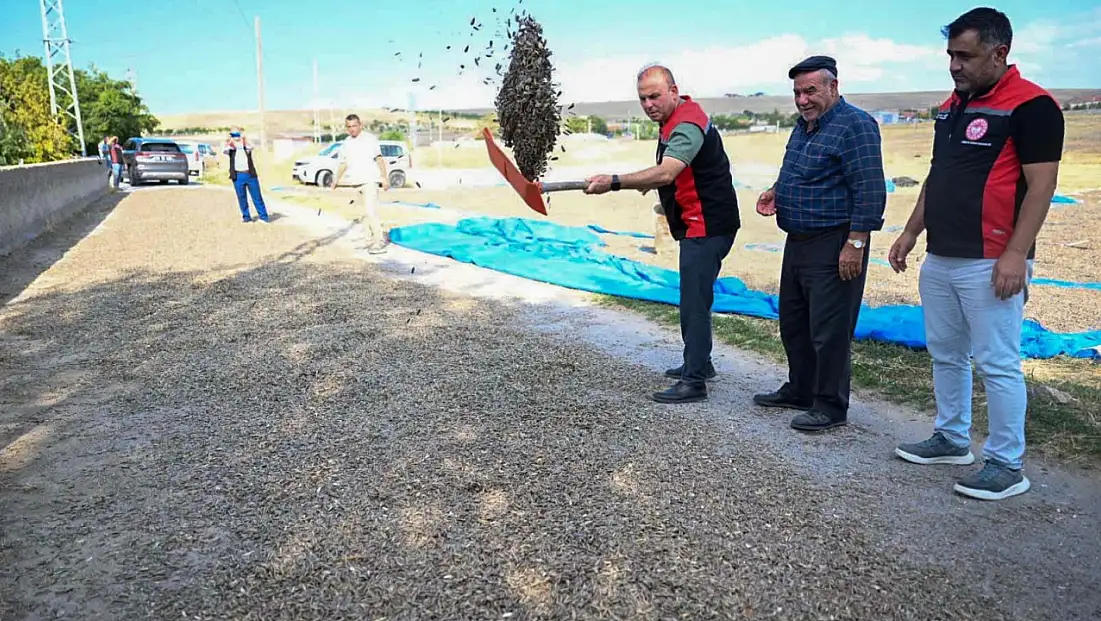 Türkiye'de 2'nci! Kayseri'de hasat mesaisi sürüyor
