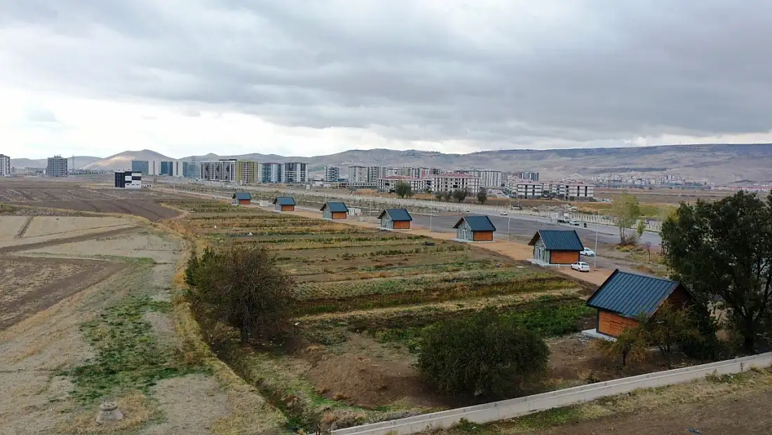 Yediveren Kadın Kooperatifi son hasadını yaptı