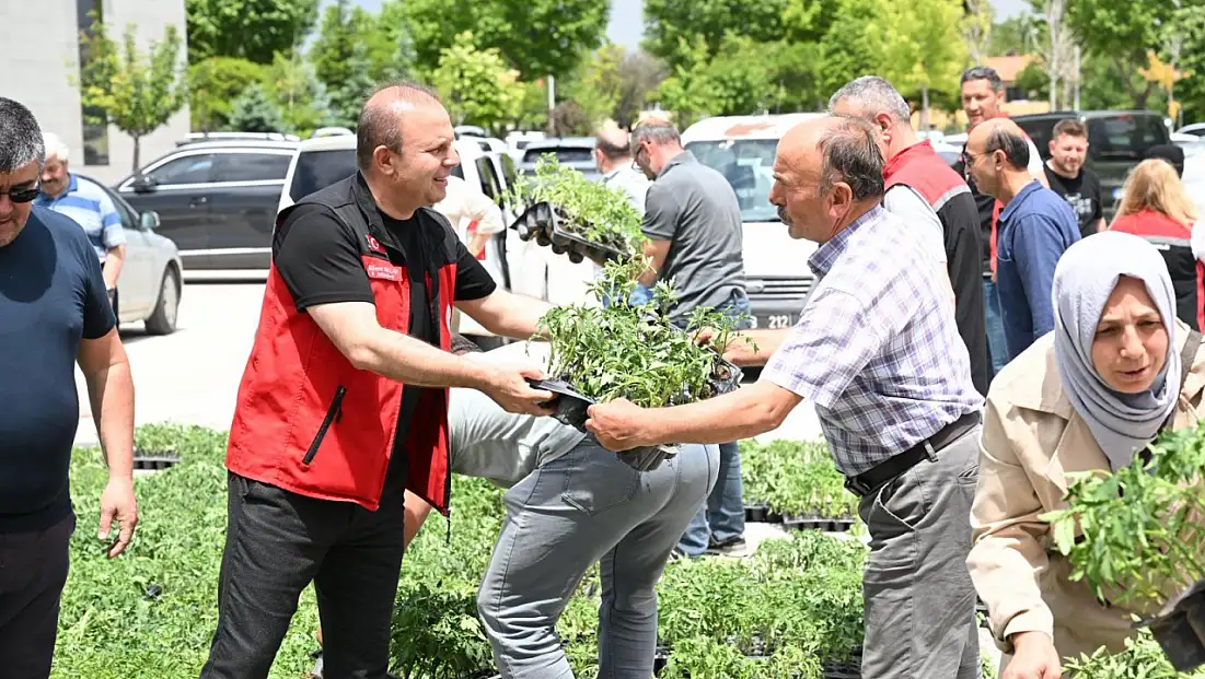 Yeniden ücretsiz fide dağıtıldı! Devamı gelecek mi?