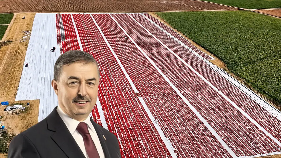 Yeşilhisar’ın kurutulmuş domates üretimi dikkat çekiyor
