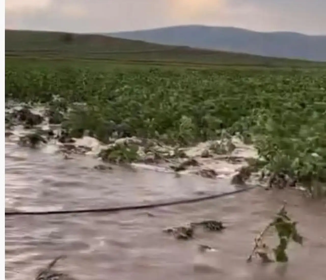 Meteoroloji uyarmıştı: Tomarza sel ve doluya teslim oldu