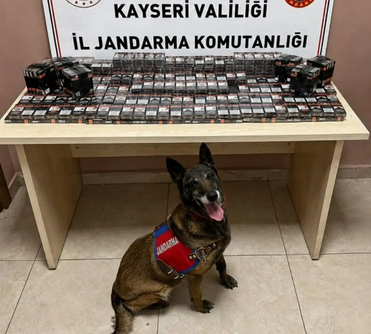 Narkotik köpeği tepki verdi! Kaçak ürünler ortaya çıktı