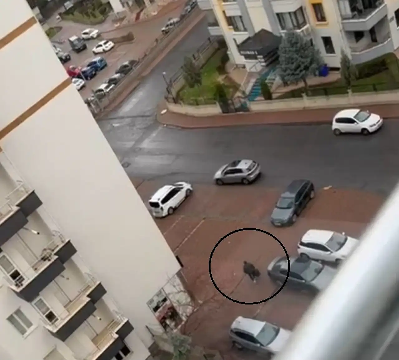 Kayseri'deki cinayette dikkat çeken detay!