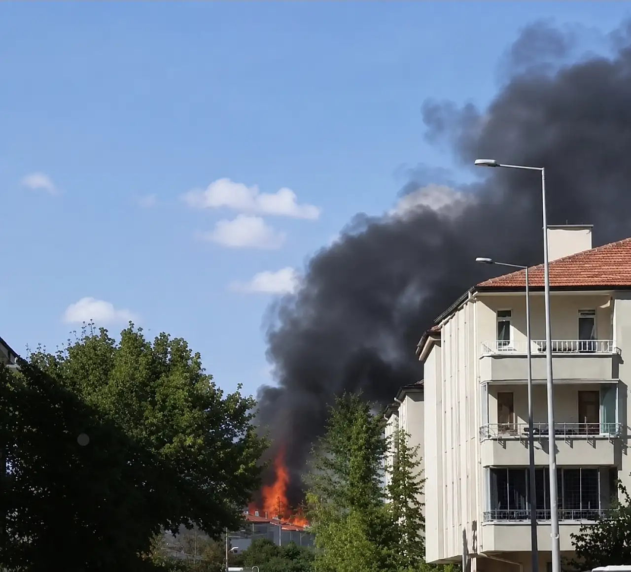 Son dakika! Argıncık'ta yangın çıktı