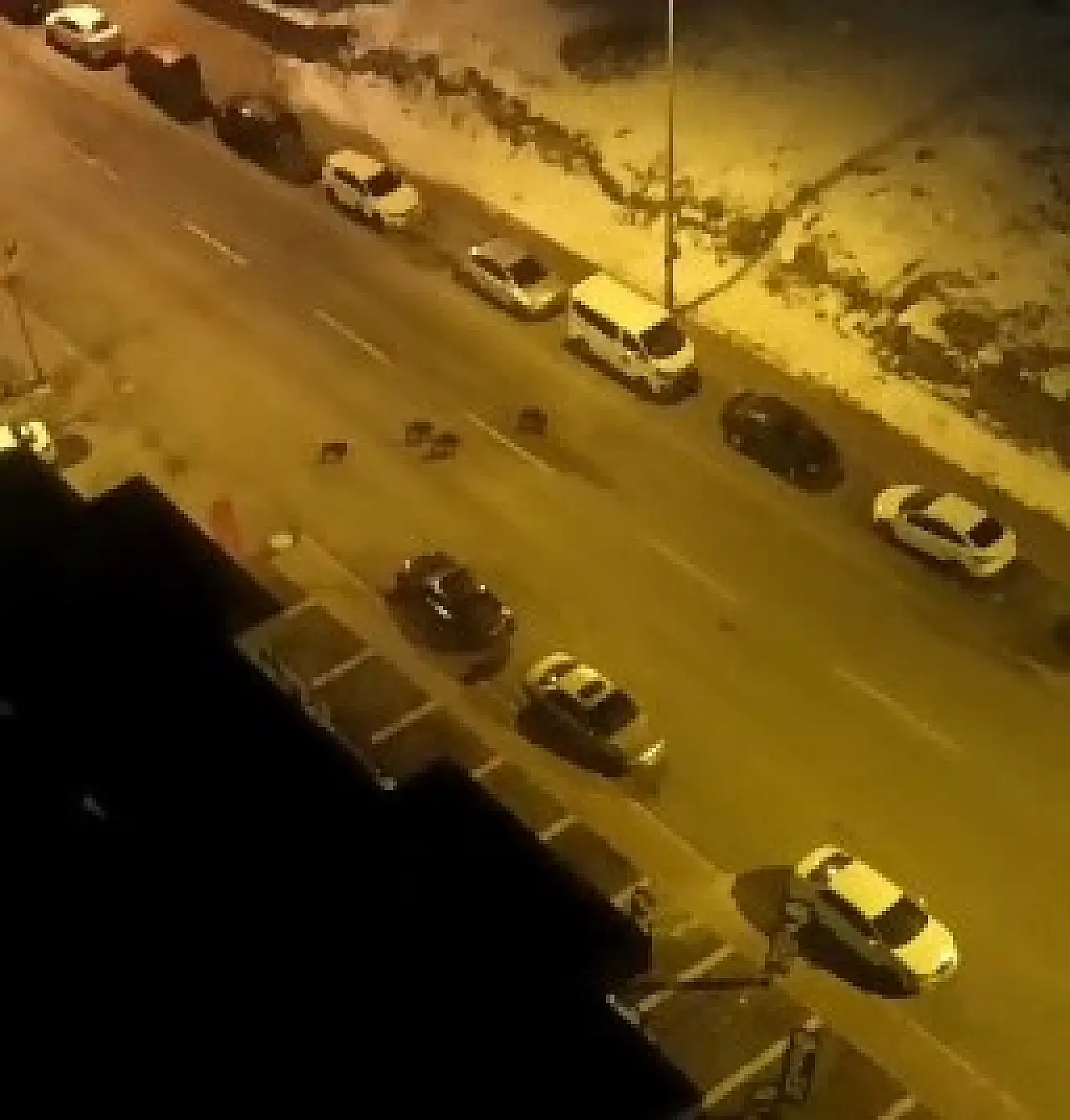 Kayseri'de aç kalan yaban domuzları merkeze indi