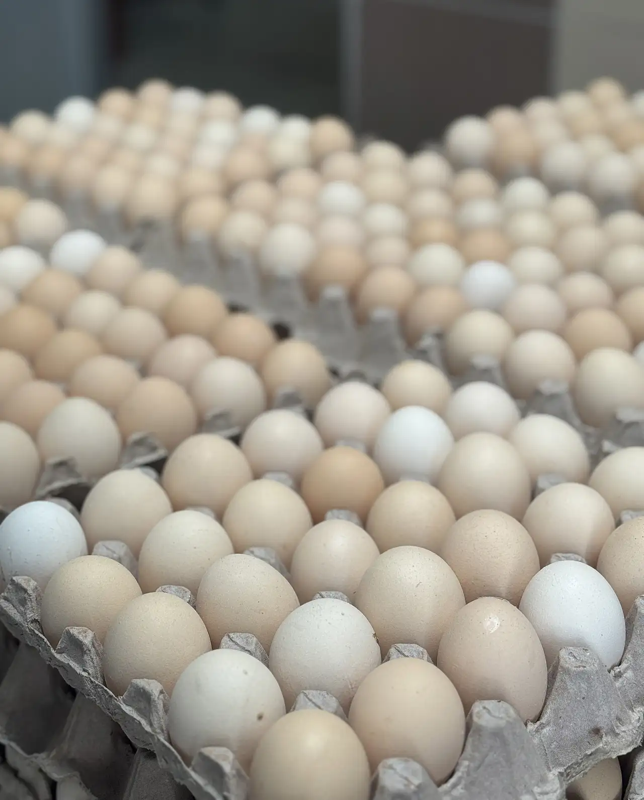 YUM-BİR Başkanı Afyon bakın kime tepki gösterdi