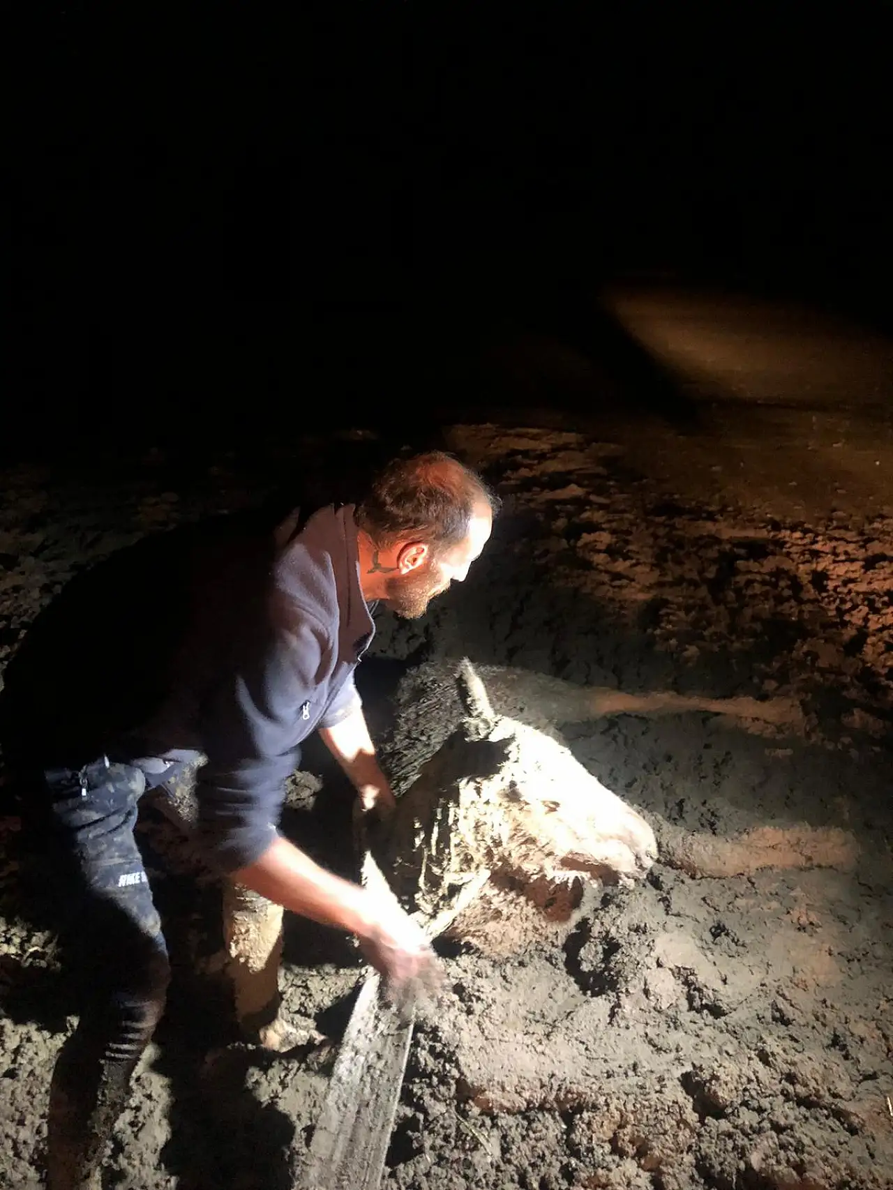 Kayseri'de oldu! Bataklığa saplandı