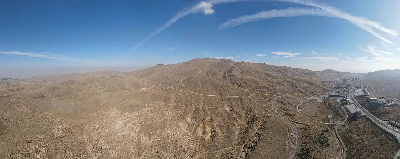 140 hektar alanda 5 türde 181 bin fidan dikildi