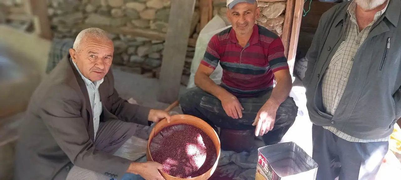 Kayseri'nin yanı başında! Zorlu hasat dönemi başladı