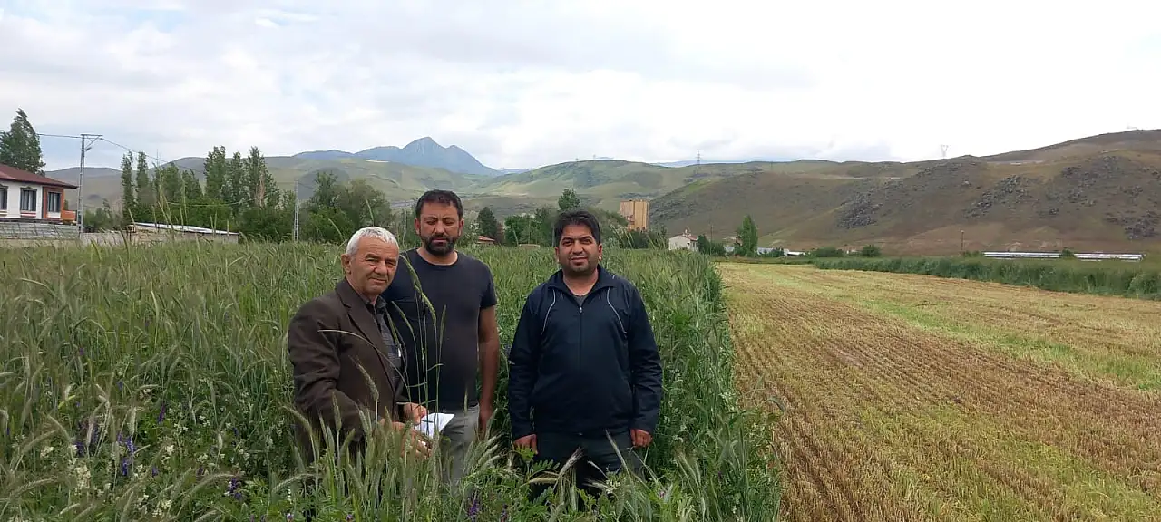 Kayserililerin yeni ekmek kapısı oldu! İlk sıraya yükseldi