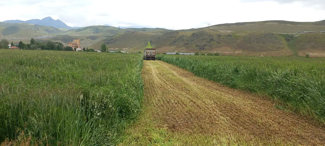 Kayserililerin yeni ekmek kapısı oldu! İlk sıraya yükseldi