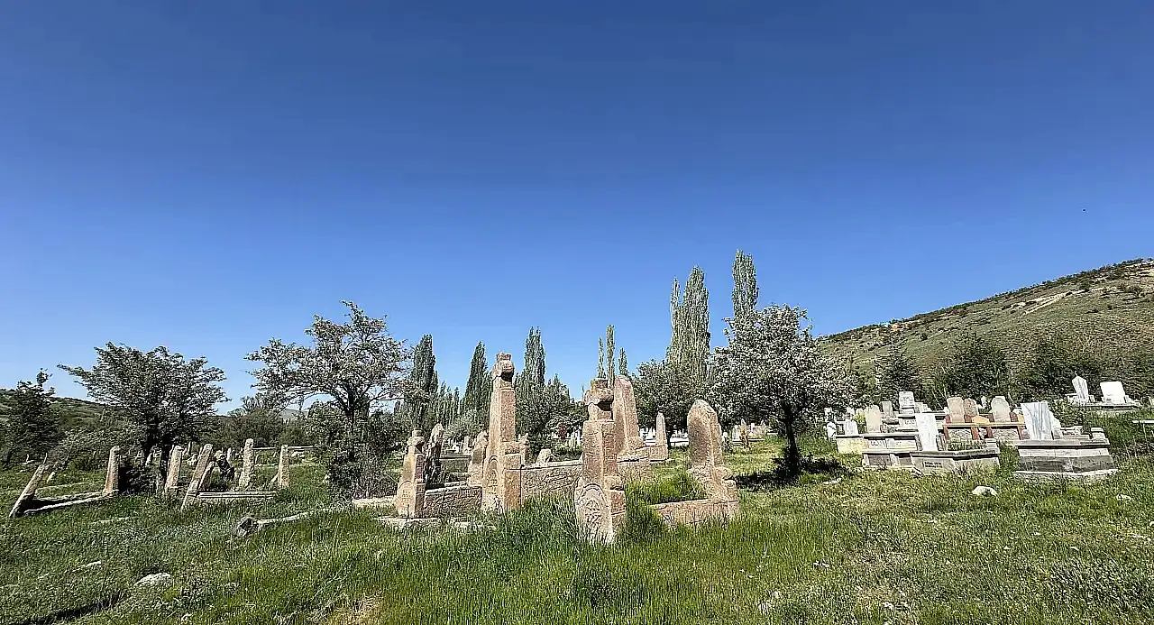 Kayseri'de ağacın gövdesinde mezar çıktı!
