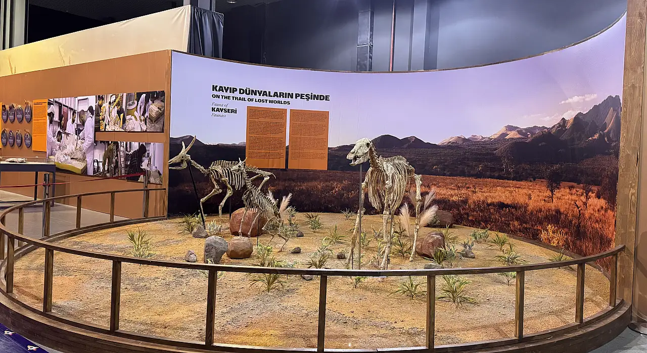 Kayseri'de 7,7 milyon yıl öncesine yolculuk