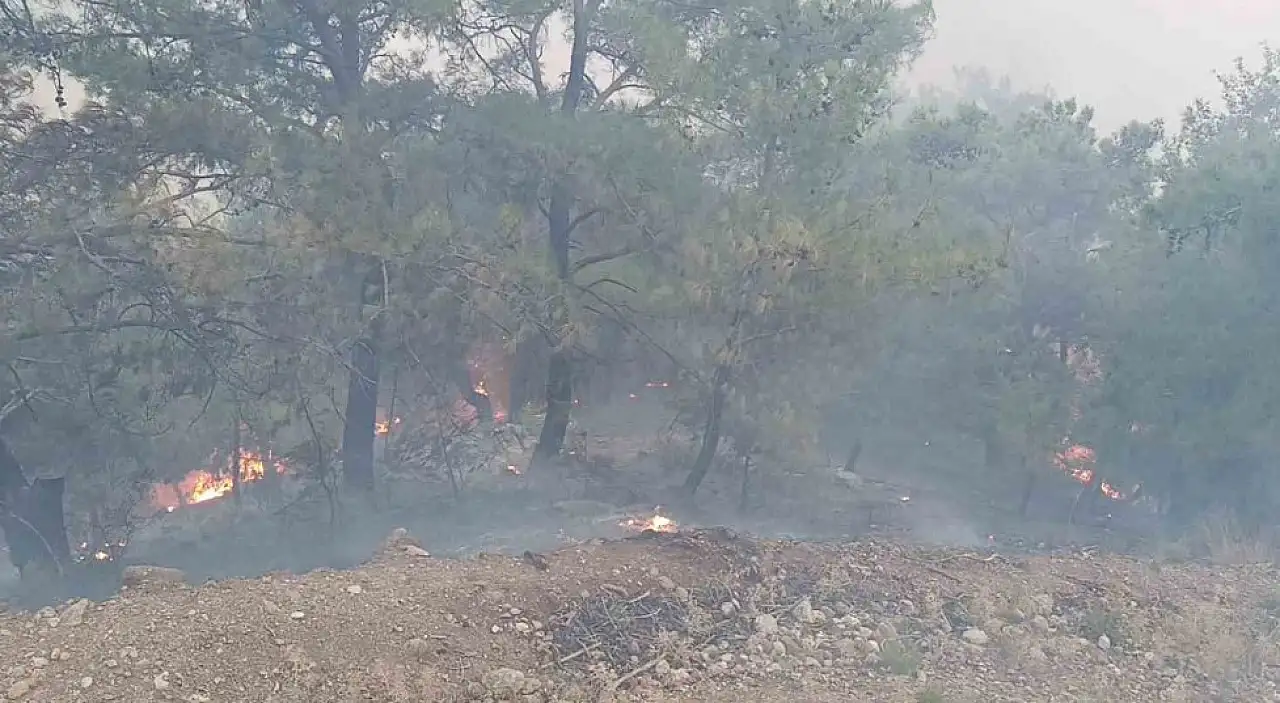 AFAD talep etti, Bünyan Belediyesi harekete geçti