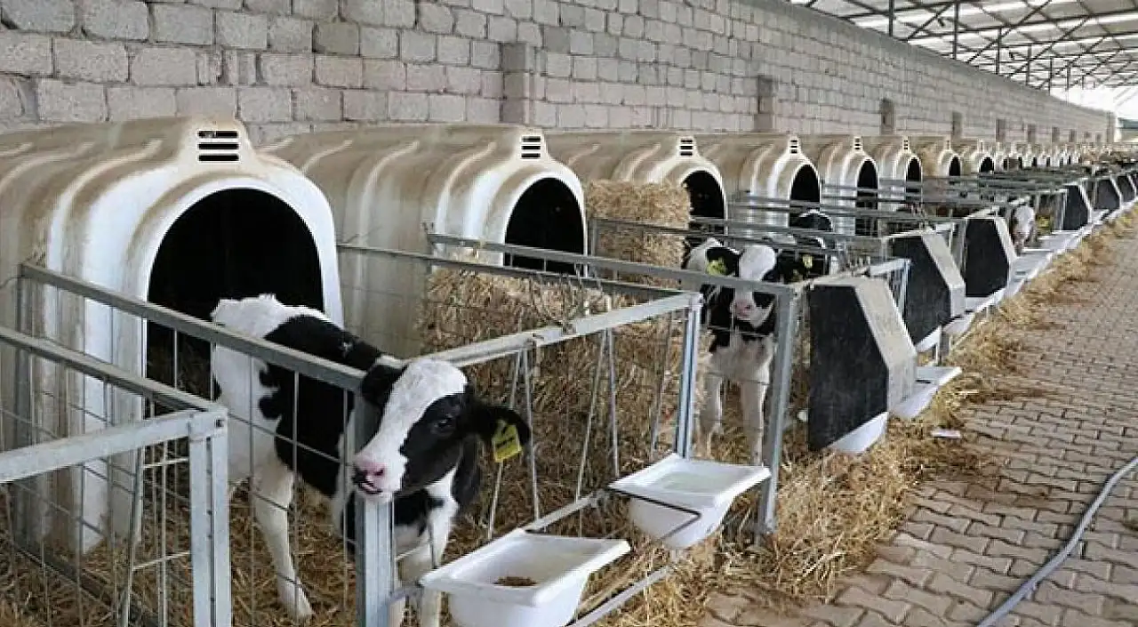 Kayseri'de binlerce üreticiyi ilgilendiren başvuru başladı
