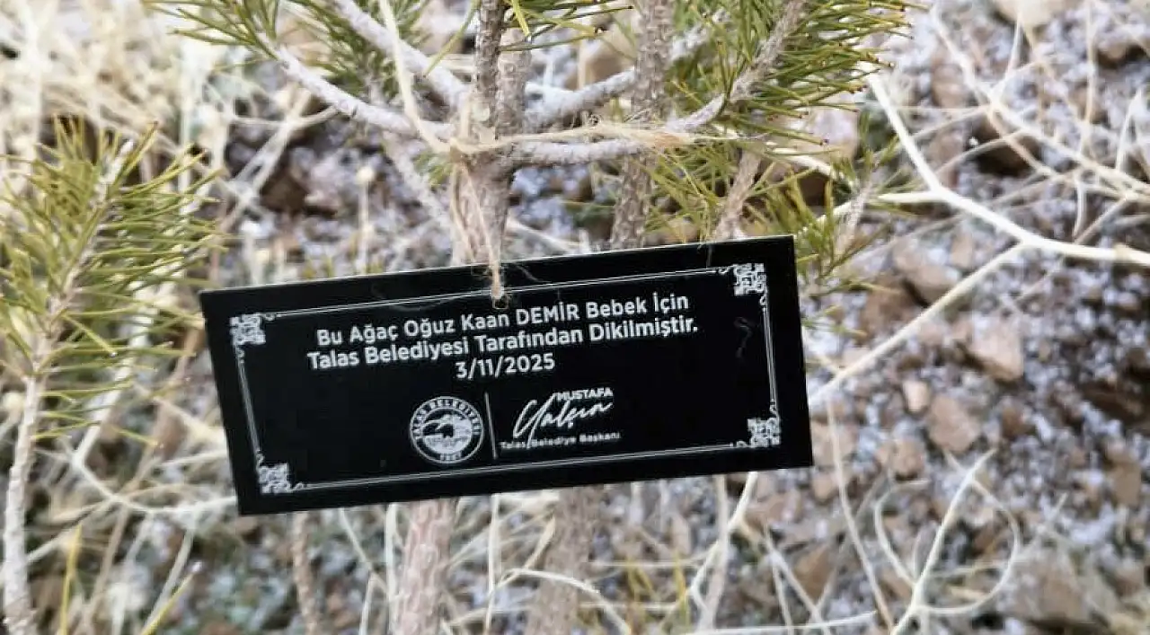 Talas'ta her bebek için bir fidan dikiliyor!