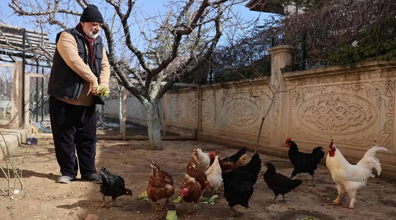 Kayseri'de dikkat çeken fotoğraflar! Arşivden çıkan fotoğraflar önceki ve sonraki halleri gözler önüne serdi