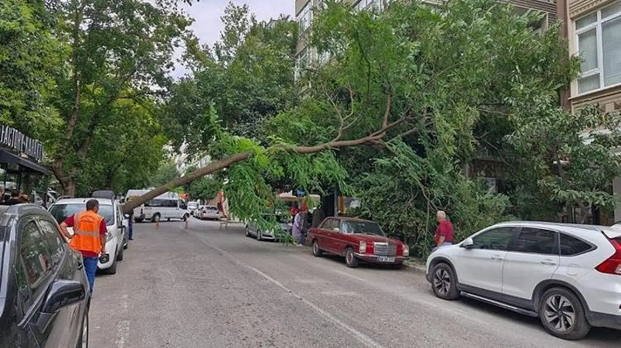 Meteoroloji uyardı: Kar ve fırtına geliyor
