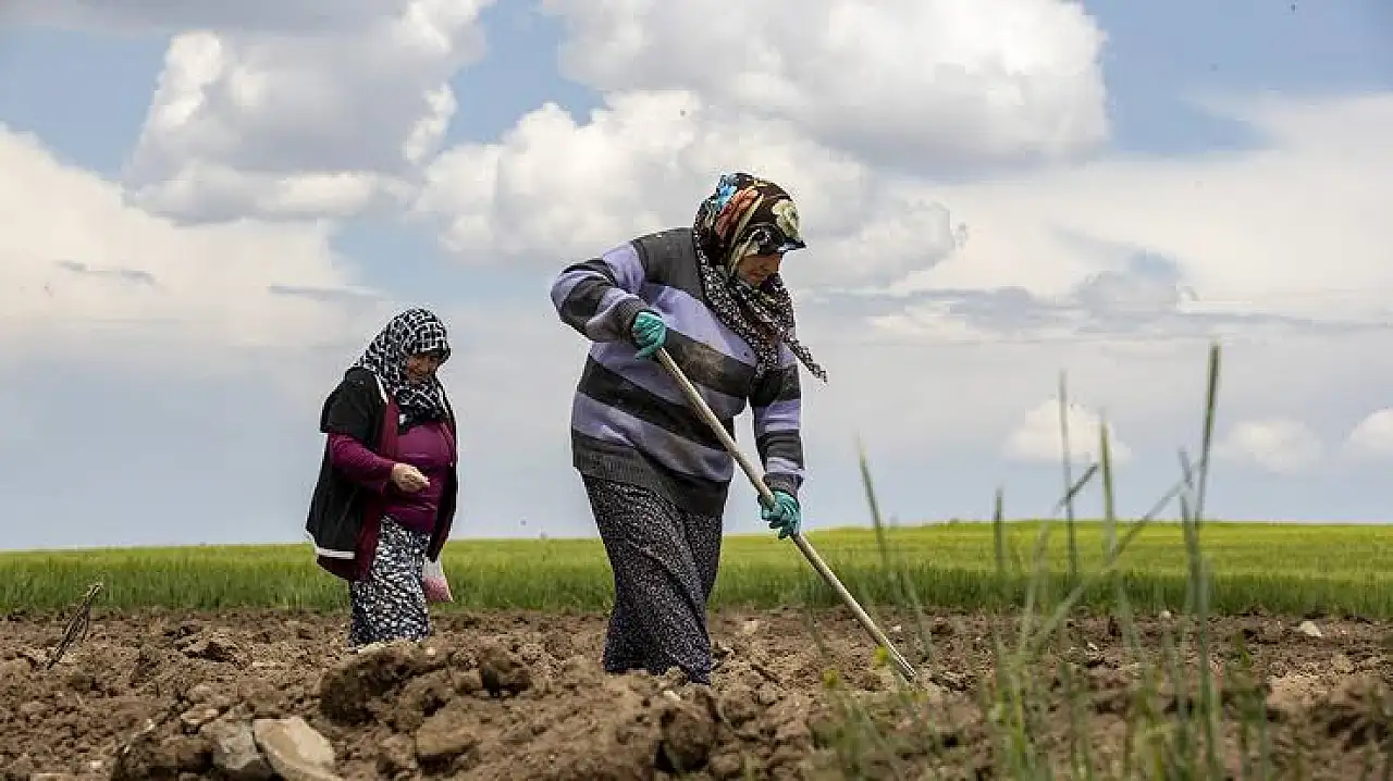 Kayserili Çiftçiler açıkladı: Bu bir iflas ilanıdır!