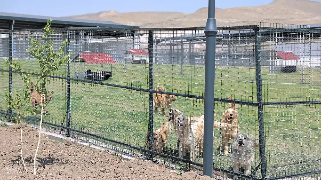 Kayseri'de bir ilk: Kocasinan'dan dev hayvan bakım merkezi