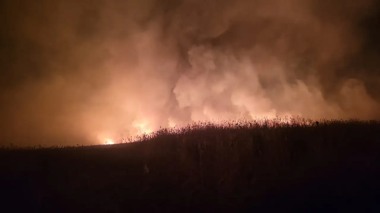 Kayseri'de yüzlerce kuşa ev sahipliği yapıyor! O bölgede yangın paniği