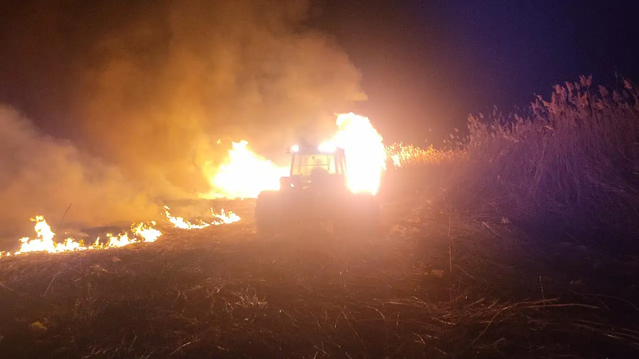 Kayseri'de yüzlerce kuşa ev sahipliği yapıyor! O bölgede yangın paniği