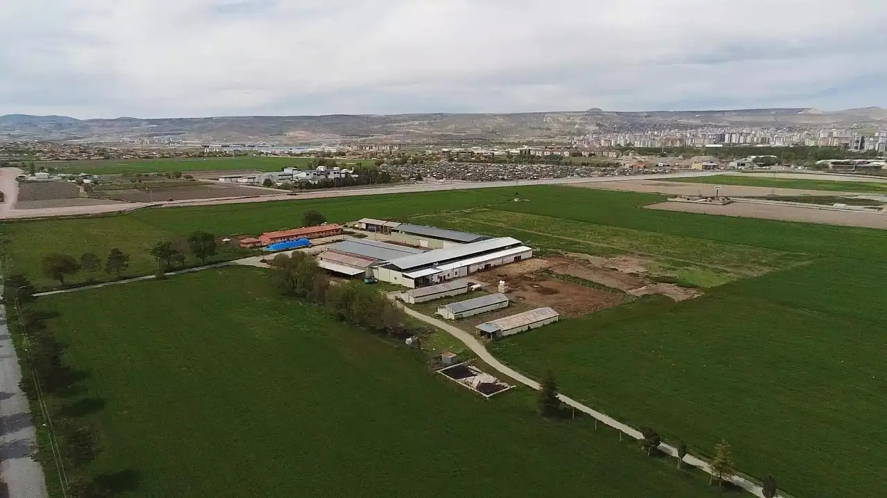 Erciyes Üniversitesi çilek satacak! Kilosu 120 lira