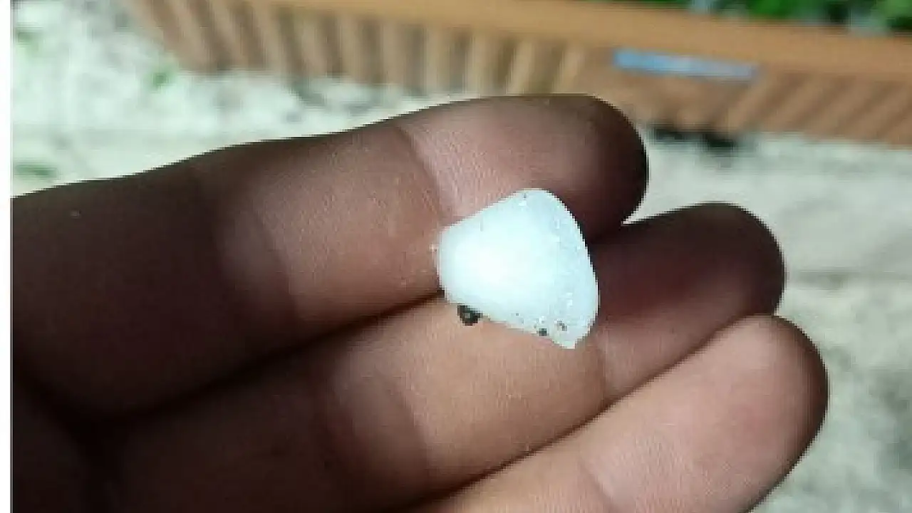 Gesi'yi dolu vurdu! Ağaçlar ve meyveler zarar gördü
