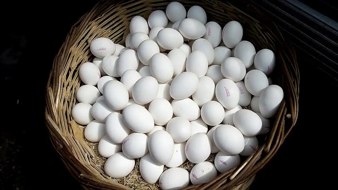 Tüketicinin gözü raflarda, haziran ayını nasıl kapatıyor?