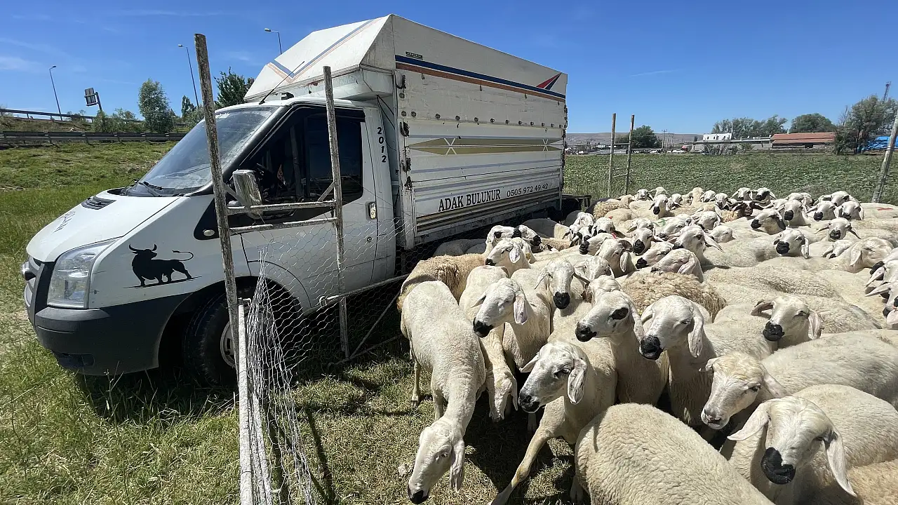 Kayseri'de oldu! Kurban parasını kim çaldı?