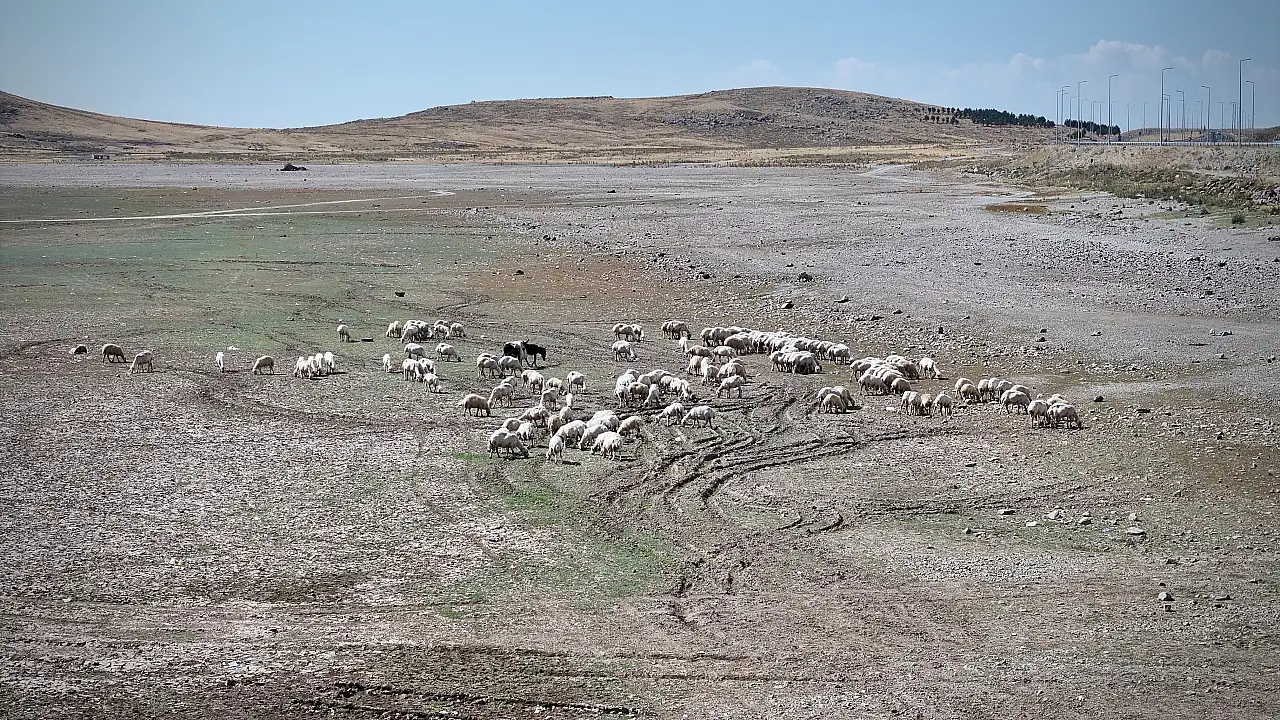 Kayseri'de korkutan görüntü! Kabus geri döndü