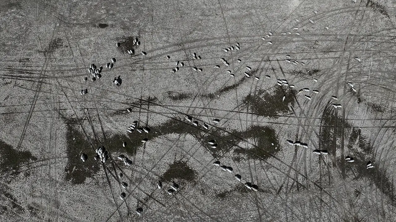 Kayseri'de korkutan görüntü! Kabus geri döndü