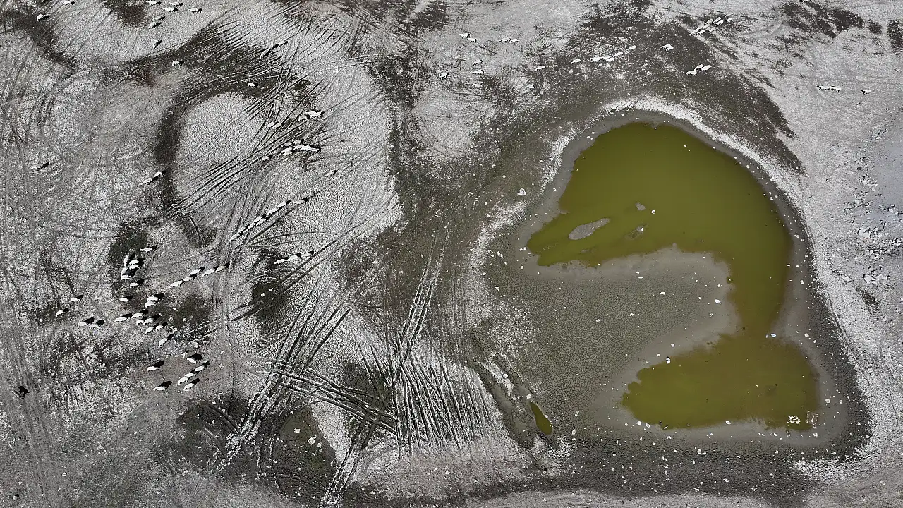 Kayseri'de korkutan görüntü! Kabus geri döndü