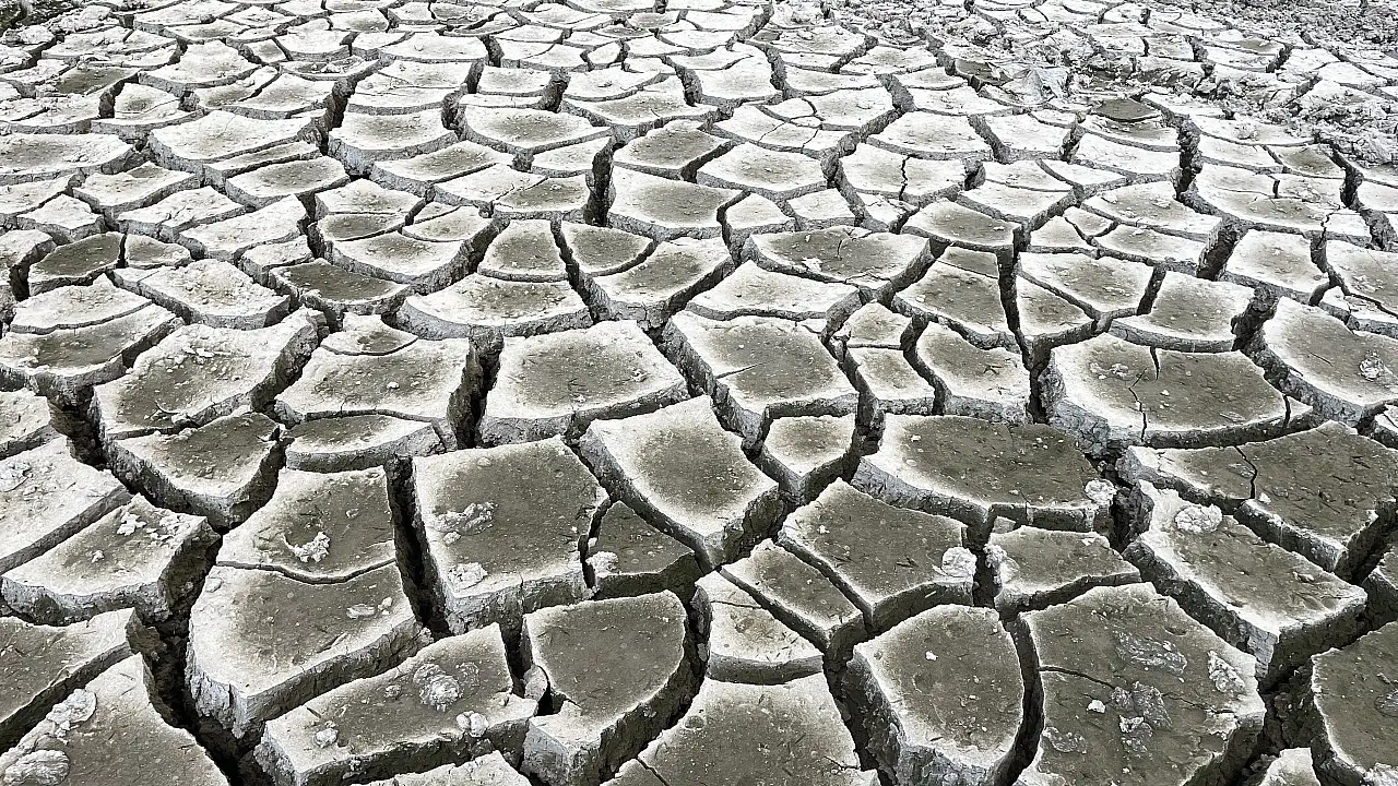 Kayseri'de korkutan görüntü! Kabus geri döndü