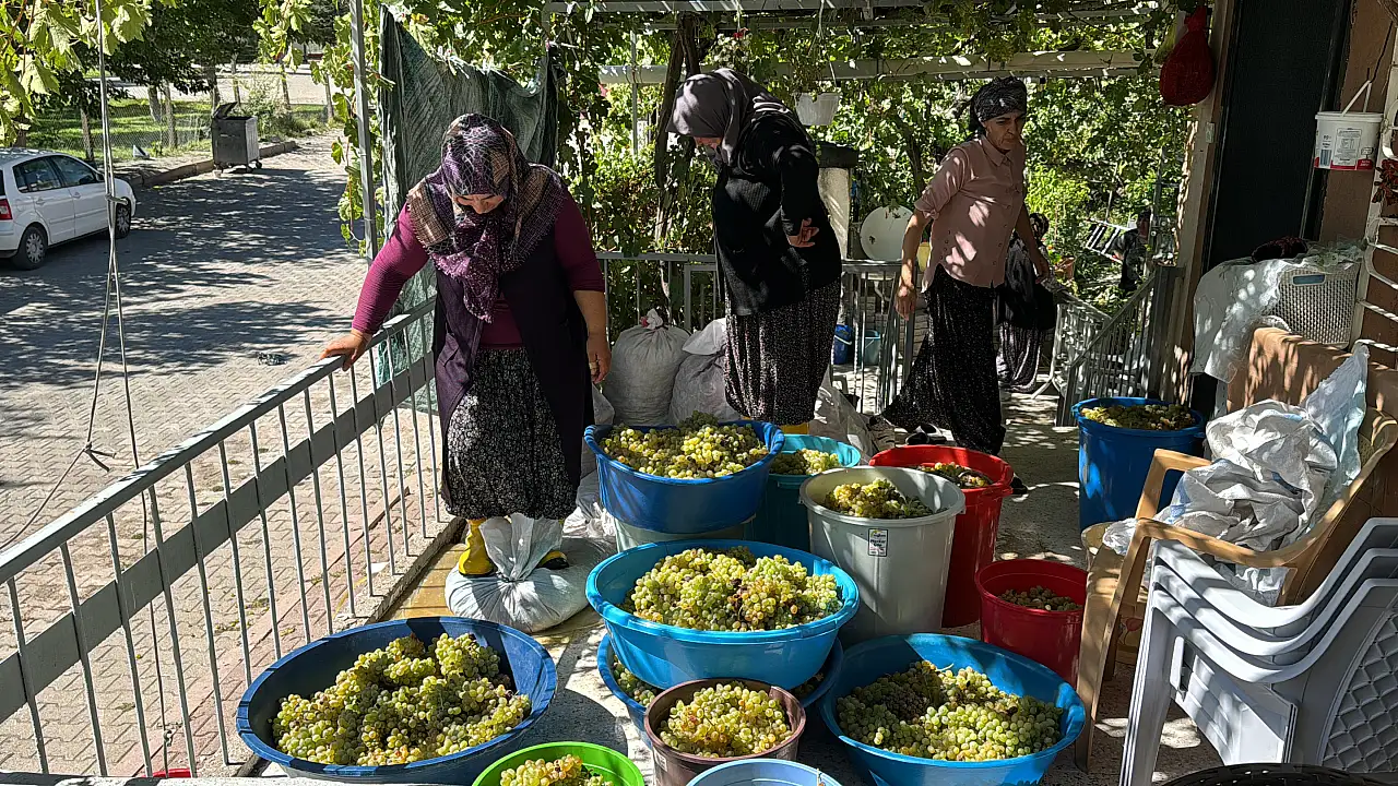 İncesu altınının zahmetli serüveni