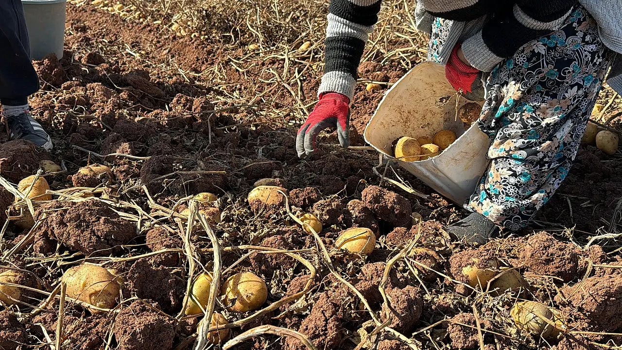 İl Müdürü iddialı konuştu: Sezonu birinci olarak bitirmeyi hedefliyoruz