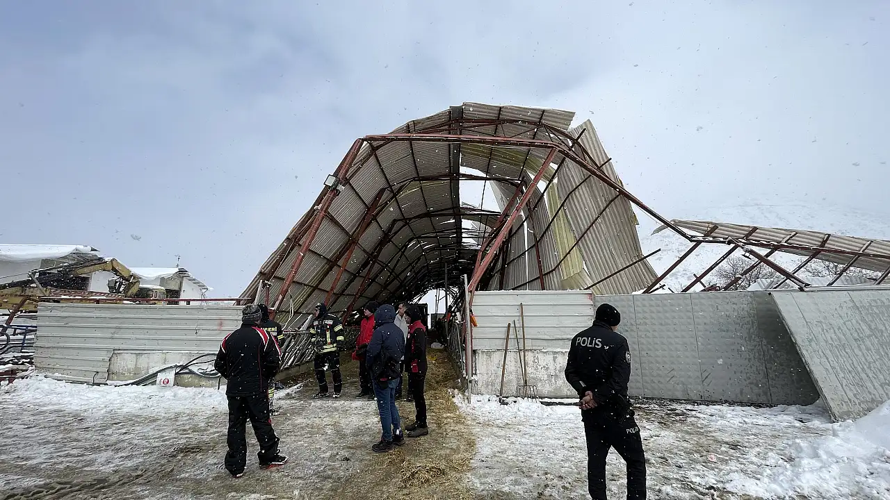 Kayseri'de çatı çöktü! Onlarca hayvan telef oldu