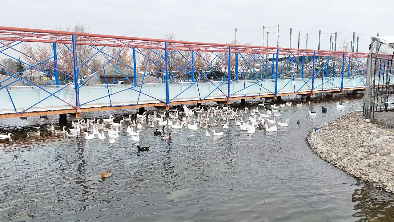 Hayvanat Bahçesi'nde kış hazırlıkları tamam