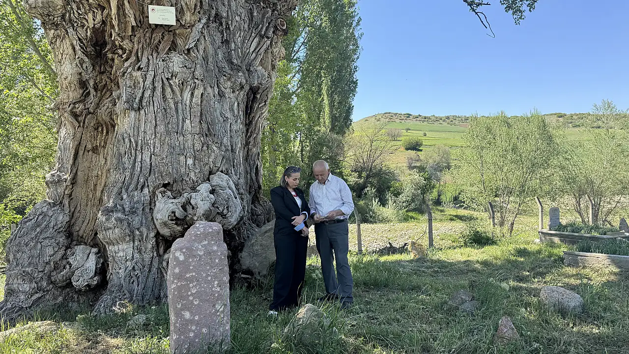 Dünyada eşi benzeri olmayan anıt mezarlık Develi'de