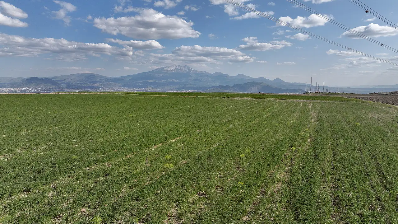 Kayseri tarımda rekor kırıyor: 4 üründe Türkiye birincisi!