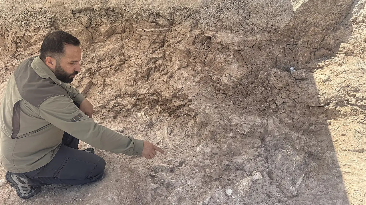 Kayseri'de keçi çobanının ihbarıyla başlayan 7.7 milyon yıllık keşif