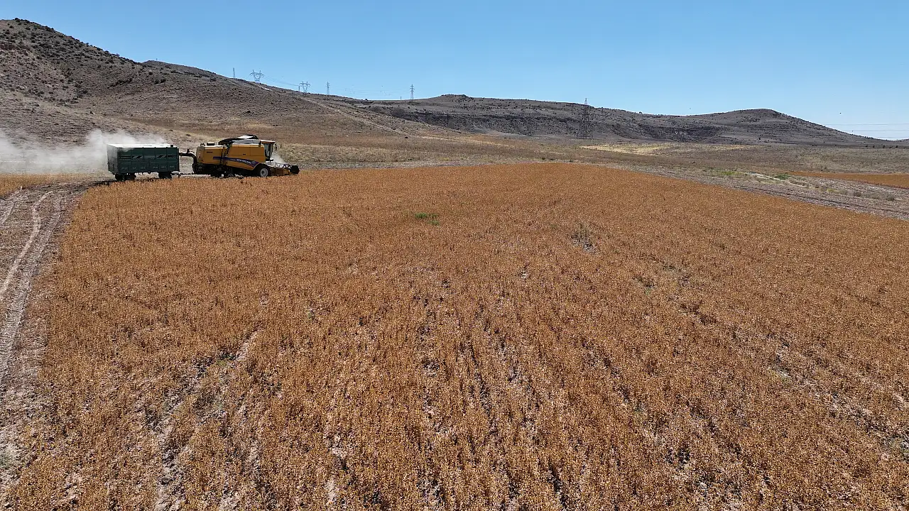 Kayseri'de hasat başladı: Açık ara birinciyiz