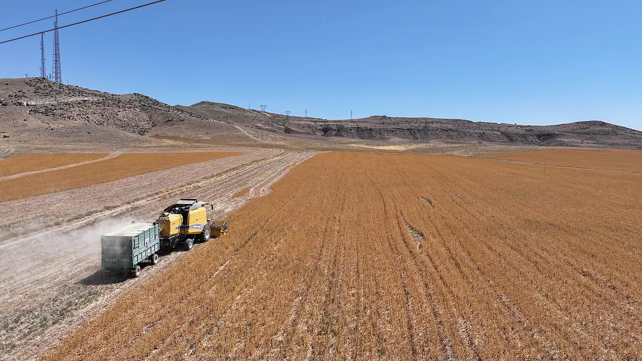 Kayseri'de hasat başladı: Açık ara birinciyiz