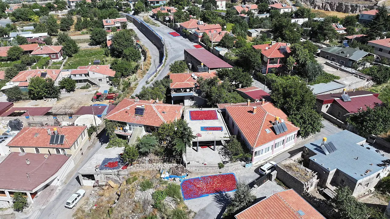 Kayseri'nin damlarında kuruyan lezzet