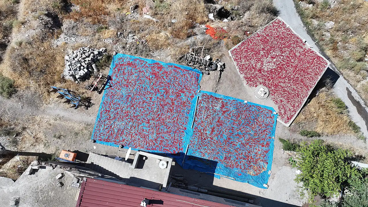 Kayseri'nin damlarında kuruyan lezzet